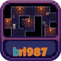 brl987